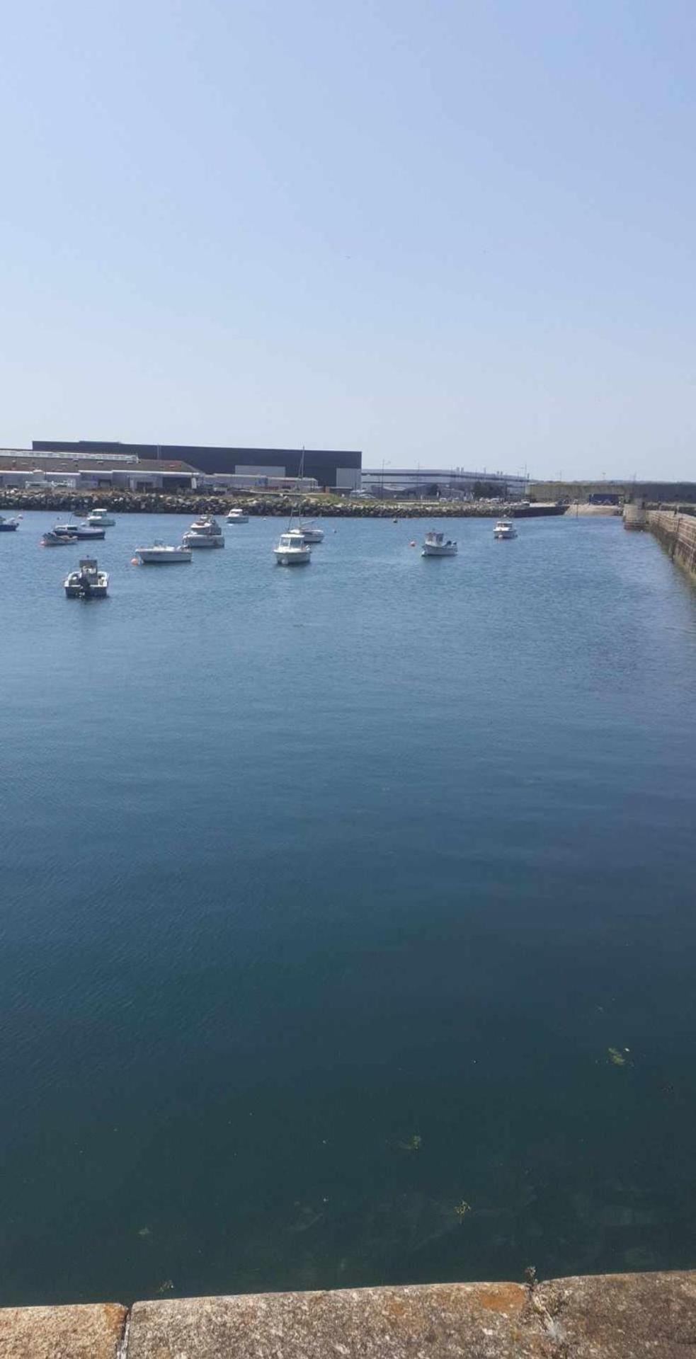 Ma Niche A Louer Leilighet Cherbourg-en-Cotentin Eksteriør bilde